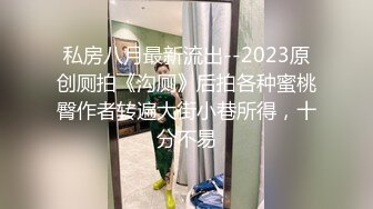 私房八月最新流出--2023原创厕拍《沟厕》后拍各种蜜桃臀作者转遍大街小巷所得，十分不易