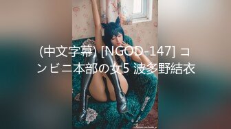 (中文字幕) [NGOD-147] コンビニ本部の女5 波多野結衣