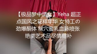 【极品梦中情女】Yeha 超正点国风之花样年华 女特工の劲爆酮体 粉穴蜜乳血脉喷张 绝美艺术品尽情脑补