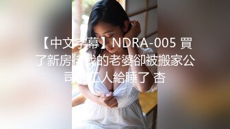 【中文字幕】NDRA-005 買了新房後我的老婆卻被搬家公司的工人給睡了 杏