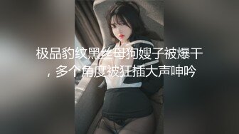 极品豹纹黑丝母狗嫂子被爆干，多个角度被狂插大声呻吟