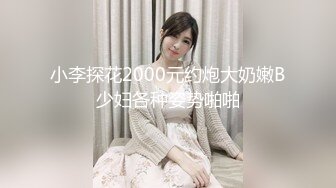 小李探花2000元约炮大奶嫩B少妇各种姿势啪啪