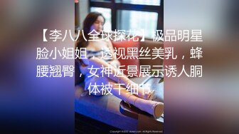 【李八八全球探花】极品明星脸小姐姐，透视黑丝美乳，蜂腰翘臀，女神近景展示诱人胴体被干细节