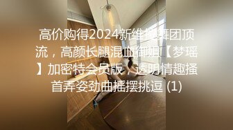 高价购得2024新维拉舞团顶流，高颜长腿混血御姐【梦瑶】加密特会员版，透明情趣搔首弄姿劲曲摇摆挑逗 (1)