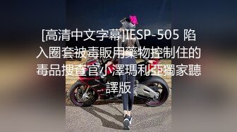 [高清中文字幕]IESP-505 陷入圈套被毒販用藥物控制住的毒品搜查官小澤瑪利亞獨家聽譯版