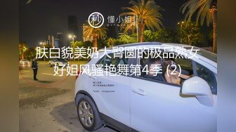 肤白貌美奶大臀圆的极品熟女好姐风骚艳舞第4季 (2)