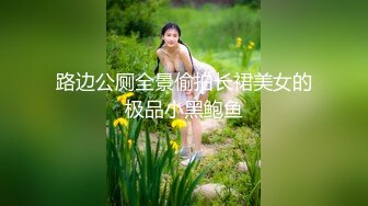 路边公厕全景偷拍长裙美女的极品小黑鲍鱼