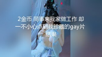 2金币 同事来我家做工作 却一不小心点到我珍藏的gay片 结果