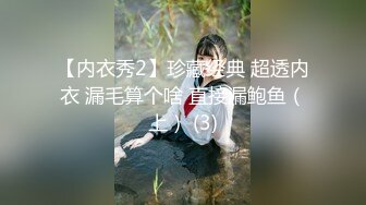 【内衣秀2】珍藏经典 超透内衣 漏毛算个啥 直接漏鲍鱼（上） (3)