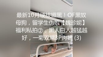 最新10月硬核媚黑！OF黑奴母狗，留学生伪娘【魏珍妮】福利私拍②，黑人白人越猛越好，一菊双屌3P肉搏 (3)