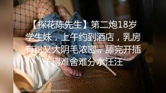 【探花陈先生】第二炮18岁学生妹，上午约到酒店，乳房有粉又大阴毛浓密，舔完开插干得难舍难分水汪汪