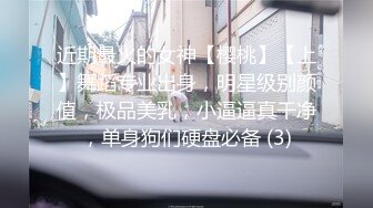 近期最火的女神【樱桃】【上】舞蹈专业出身，明星级别颜值，极品美乳，小逼逼真干净，单身狗们硬盘必备 (3)