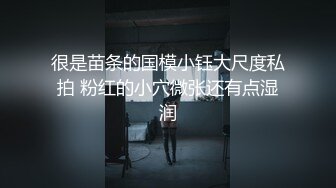 凯恩的春梦仙境