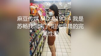 麻豆传媒 MD-0190-4 我是苏畅我回来了 阳光早晨的完美性爱