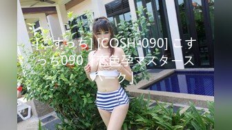 [こすっち] [COSH-090] こすっち090「恋色孕マスタースパーク」