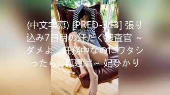 (中文字幕) [PRED-313] 張り込み7日目の汗だく捜査官 ～ダメよ、任務中なのにワタシったら…真夏編～ 妃ひかり