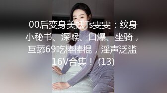 00后变身美妖Ts雯雯：纹身小秘书、深喉、口爆、坐骑，互舔69吃棒棒棍，淫声泛滥 16V合集！ (13)