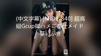 (中文字幕) [MIDE-840] 超高級Gcup即ハメご奉仕メイド 葵いぶき