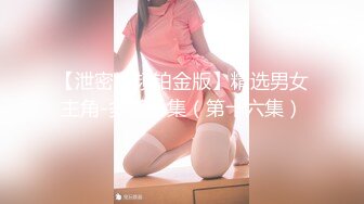 【泄密视频铂金版】精选男女主角-多部合集（第十六集）