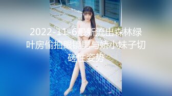 2022-11-6最新流出森林绿叶房偷拍眼镜男与娇小妹子切磋性姿势