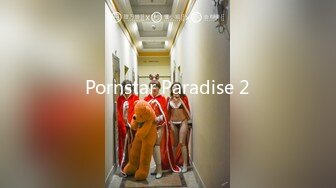 Pornstar Paradise 2