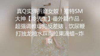 真Q实弹折磨女奴！推特SM大神【冷先生】番外篇作品，超强调教母狗反差婊，饮尿鞭打独龙喷水踩胸拉果滴蜡~炸裂