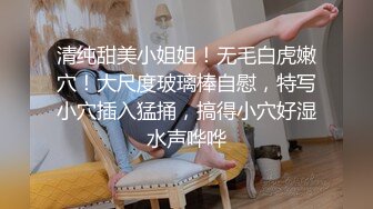 私房新流出大神约炮清纯的美女老师完美露脸