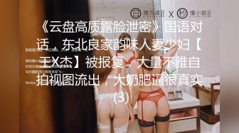 《云盘高质露脸泄密》国语对话，东北良家韵味人妻少妇【王X杰】被报复，大量不雅自拍视图流出，大奶肥逼很真实 (3)