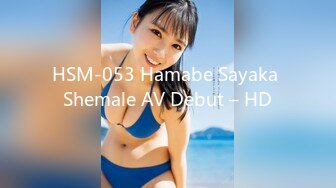 HSM-053 Hamabe Sayaka Shemale AV Debut – HD