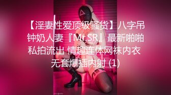 【淫妻性爱顶级骚货】八字吊钟奶人妻『Mr.SR』最新啪啪私拍流出 情趣连体网袜内衣 无套爆插内射 (1)