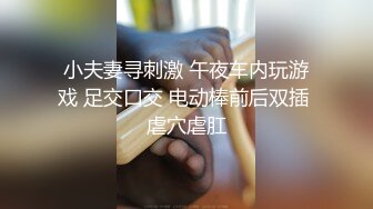 小夫妻寻刺激 午夜车内玩游戏 足交口交 电动棒前后双插 虐穴虐肛