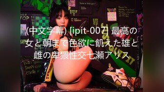 (中文字幕) [ipit-007] 最高の女と朝まで色欲に飢えた雄と雌の卑猥性交七瀬アリス