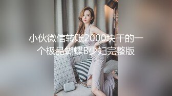 小伙微信转账2000块干的一个极品蝴蝶B少妇完整版