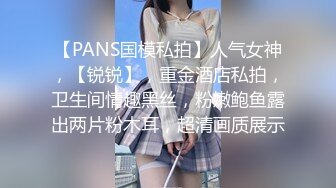 【PANS国模私拍】人气女神，【锐锐】，重金酒店私拍，卫生间情趣黑丝，粉嫩鲍鱼露出两片粉木耳，超清画质展示