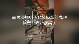 面试潜规则长腿名模黑丝高跟热舞全程对话采访